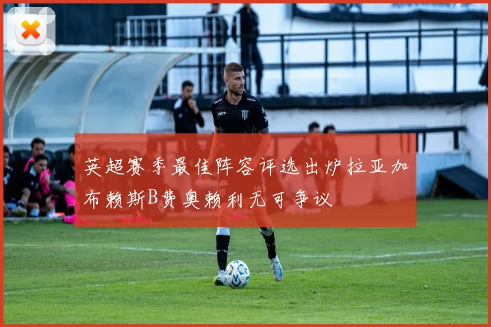 英超赛季最佳阵容评选出炉拉亚加布赖斯B费奥赖利无可争议