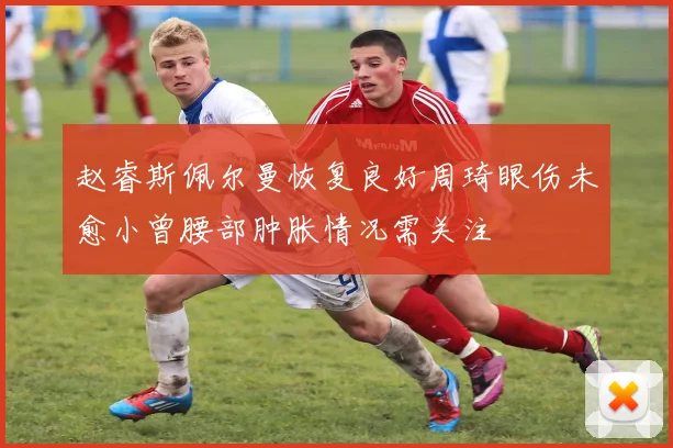 赵睿斯佩尔曼恢复良好周琦眼伤未愈小曾腰部肿胀情况需关注